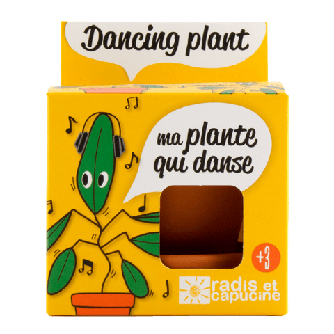 SET - Posuda za uzgoj Plesne biljke