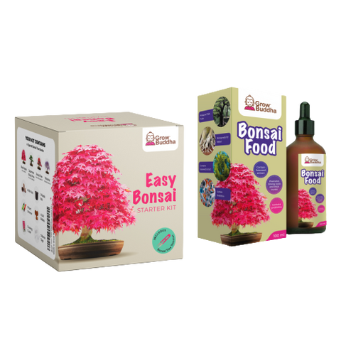 SET - Bonsai sjemenke + Gnojivo za bonsaije s probioticama
