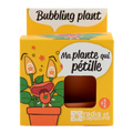SET - Posuda za uzgoj biljke Bubbling, za djecu