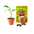 SET - Posuda za uzgoj banane, za djecu
