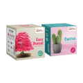 SET - Bonsai sjemenke + Kaktus sjemenke