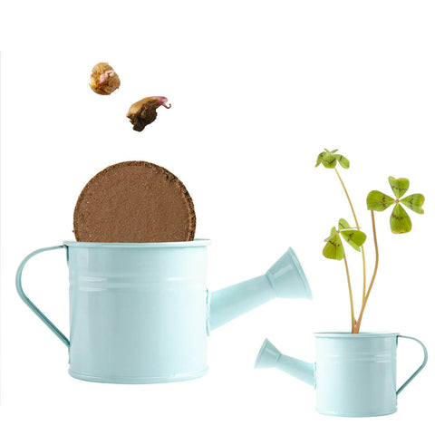 SET - Mini kantica sa sjemenkama kikirikija & djeteline 4-lista