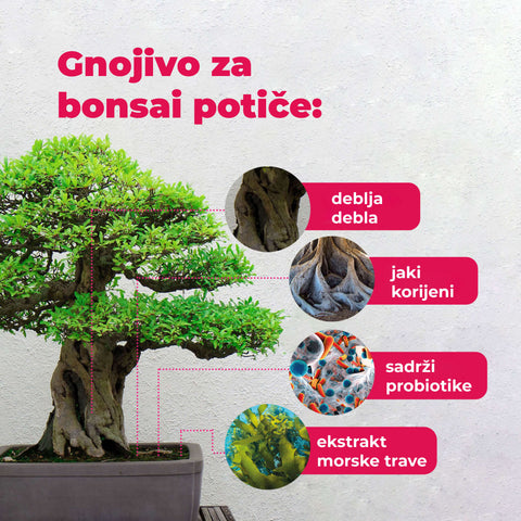 Gnojivo s probioticama za Bonsai, 100 ml